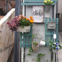 キンセンカ,キンギョソウ ブランルージュ,ビオラ ドレープ・シエナ,DIY,吊り下げの画像