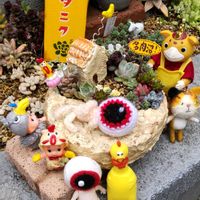 ミニひまわり,名無しのミニバラ,バラ  クィーン･エリザベス,緋繡玉,今日のお花の画像