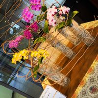 胡蝶蘭,お花屋さん,熊本,春到来！,生け込みの画像