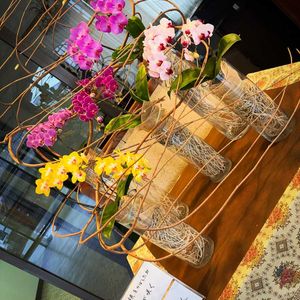 胡蝶蘭,お花屋さん,熊本,春到来！,生け込みの画像