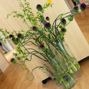 アリウム,お花屋さん,熊本,生け込み, フラワーアレンジの画像