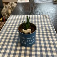 十二の巻の画像