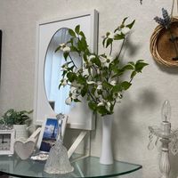 ハナミズキ（花水木）,花言葉,花のある暮らし,誕生花,GS映えの画像