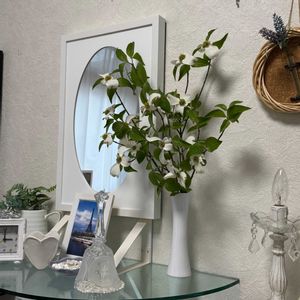 ハナミズキ（花水木）,花言葉,花のある暮らし,誕生花,GS映えの画像