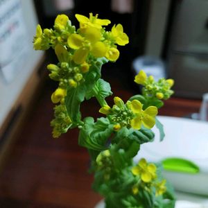 キッチンの画像