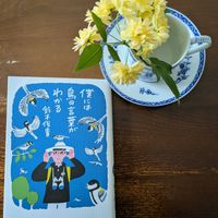 ヘデラ,モッコウバラ,モッコウバラ,モッコウバラ,花のある暮らしの画像