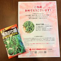 枝豆,湯あがり娘,プレゼント企画,カネコ種苗,家庭菜園の画像