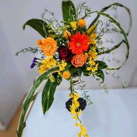 オンシジウム,ガーベラ,バラ,ベニバナ,赤い花の画像