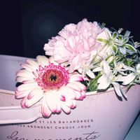 カーネーション,ガーベラ,オオアマナの画像