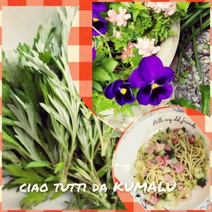 パンジー,パンジー,よもぎ,ハーブのある暮らし,美味しいレシピの画像