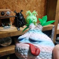 パキポディウム・グラキリス,パキポディウム・グラキリスの画像