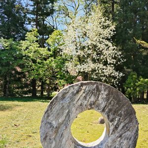 コブシ,春の花,辛夷,白い花,山形県長井市古代の丘資料館の画像