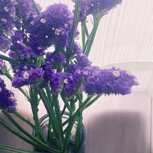 朝の光,むらさき,窓辺の画像