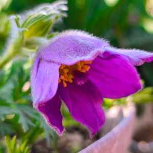 キッチンの画像