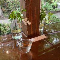 オレガノ,ヒメウツギの画像