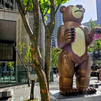 カリン,カリン,カリン,カリン,カリンの画像