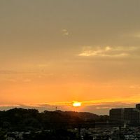 ナニワイバラ,シンデレラ,季節の花,お花は癒し,被災地にエールを…。の画像