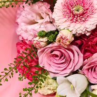 カーネーション,カーネーション,ガーベラ,カンパニュラ,ドラセナの画像