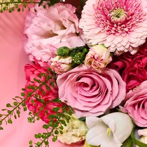 カーネーション,カーネーション,ガーベラ,カンパニュラ,ドラセナの画像