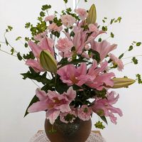 カーネーション,百合,ブプレウルムの画像