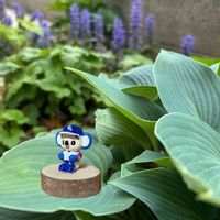 アジュガ,ギボウシ（ホスタ）,裏庭,5勝目,耐えに耐えた( ᵕ_ᵕ̩̩ )の画像