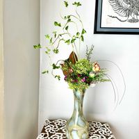 マムシグサ,エンレイソウ,シックススポットタイガービートル,花のある暮らし,緑のある暮らしの画像