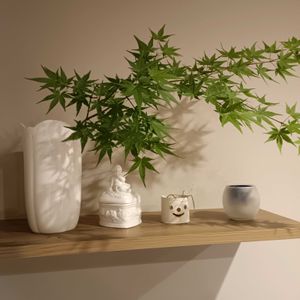 キッチンの画像