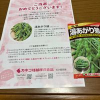 ミニトマト,かぼちゃ,キャベツ,湯あがり娘,プレゼント企画の画像