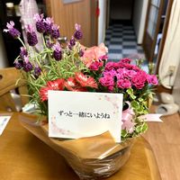 カーネーション,ガーベラ,ベゴニア,ラベンダー,プミラの画像