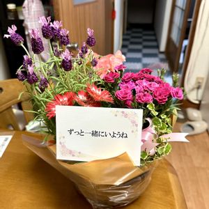 カーネーション,ガーベラ,ベゴニア,ラベンダー,プミラの画像