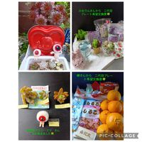 多肉植物いろいろ,オヤジ祭り,多肉ラボ©,ペコちゃん祭り,われら17年組の画像