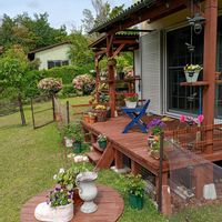 アネモネ,ビオラ・パンジー,ベランダの画像