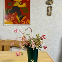 ガーベラ,シラン,スターチス,チューリップ,多肉の画像