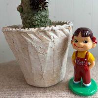 多肉植物,ガガイモ科,素敵便,ポケモン,ありがとう♡の画像