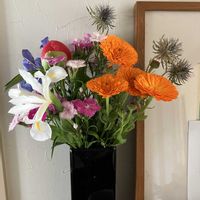 ひとりごと,にゃんの日（今日のニャン）,キッチンの画像