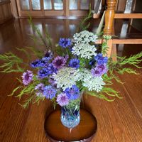 オルラヤ,ヤグルマギク,アスパラ,GSに感謝。,チーム岐阜の画像