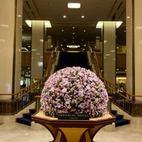 アルストロメリア,マム,スプレーマム,スプレーマム,アナスタシアの画像