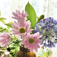 アリウム,スプレーマム,切り花,花のある暮らし,お花の定期便の画像