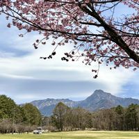 サクラ,北アルプス遠望,八ヶ岳,iPhone撮影,春の訪れの画像