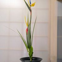 スズラン,ストレリチア,沖縄シャガ,華道,いけばなの画像