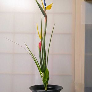 スズラン,ストレリチア,沖縄シャガ,華道,いけばなの画像