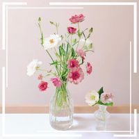 クリスマスローズ,ラナンキュラスラックス,その他部屋の画像