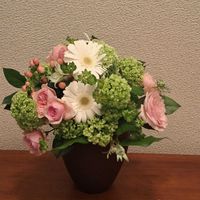 ガーベラ,ビバーナム,ヒペリカム,スプレーバラ,SPバラハルヒの画像