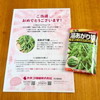 枝豆,湯あがり娘,枝豆　湯あがり娘,枝豆　湯あがり娘,プレゼント企画の画像