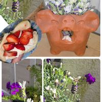 イチゴ,タピアン バイオレット,カダン フレンチラベンダー カスティリャーノ

ホワイト,花のある暮らし,PRの画像