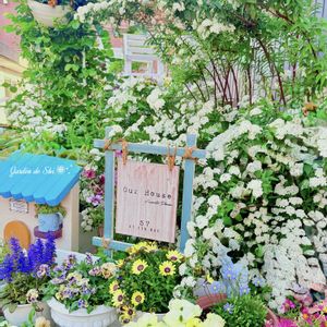 アジュガ,コデマリ,ストロベリーキャンドル,セリンセ・マヨール,チューリップの画像