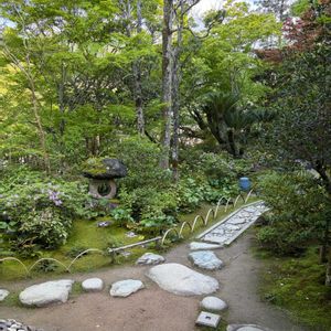 日本庭園,もみじ新緑,臥龍山荘の画像