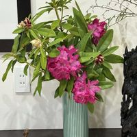 オダマキ,シャクナゲ,モッコウバラ,綺麗だなぁ,ありがとう♡の画像