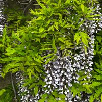 フジ,GSの繋がりに感謝♡,お出かけ先の画像