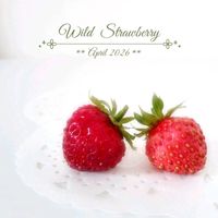 ワイルドストロベリー,ハーブ,可愛い,花のある暮らしの画像